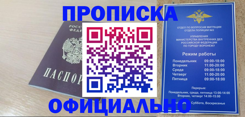 прописка в квартире в Шагонаре